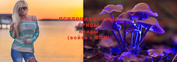 не бодяженный Аркадак