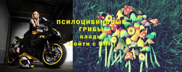 не бодяженный Аркадак
