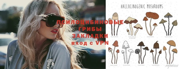 не бодяженный Аркадак